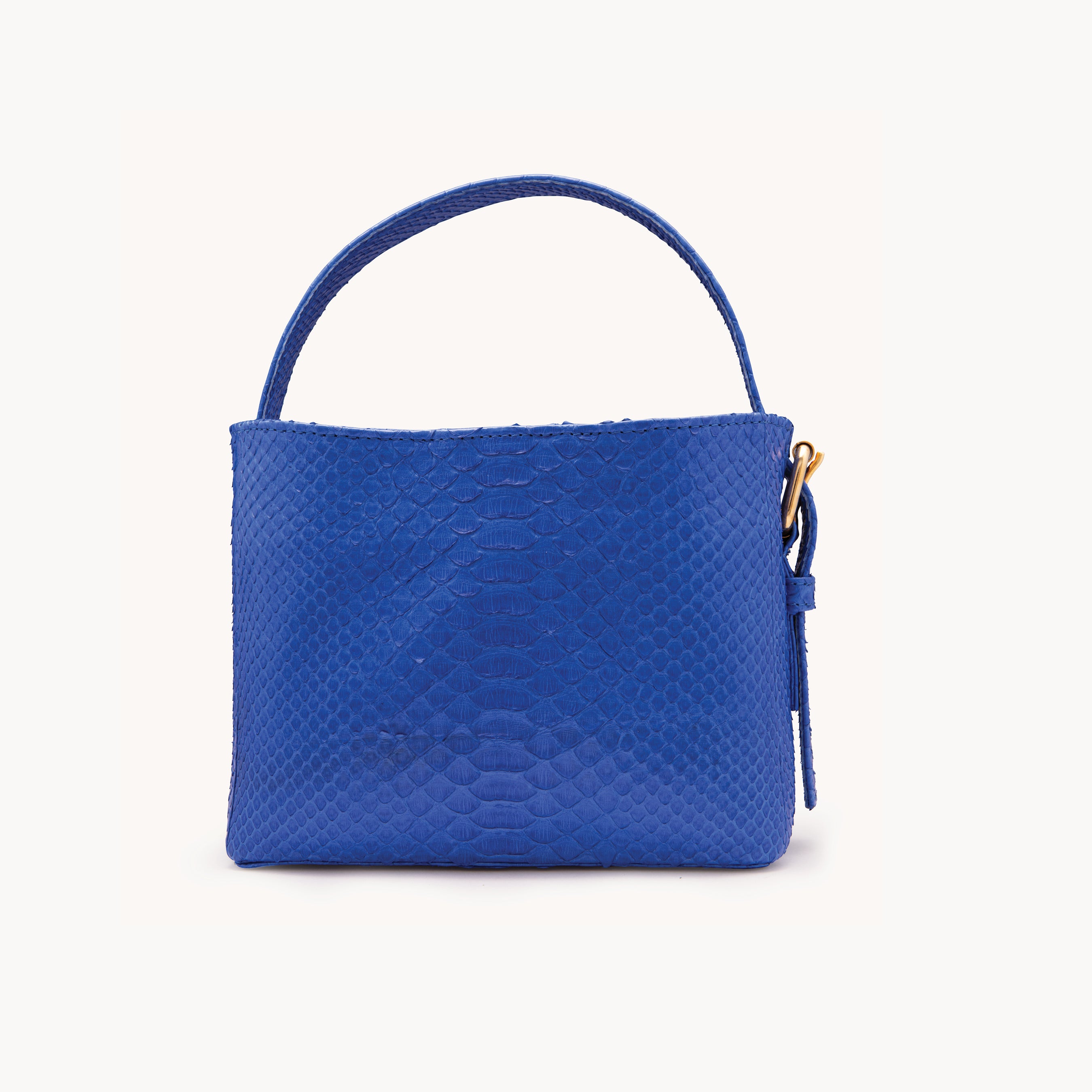 The Stealthy Electric Blue