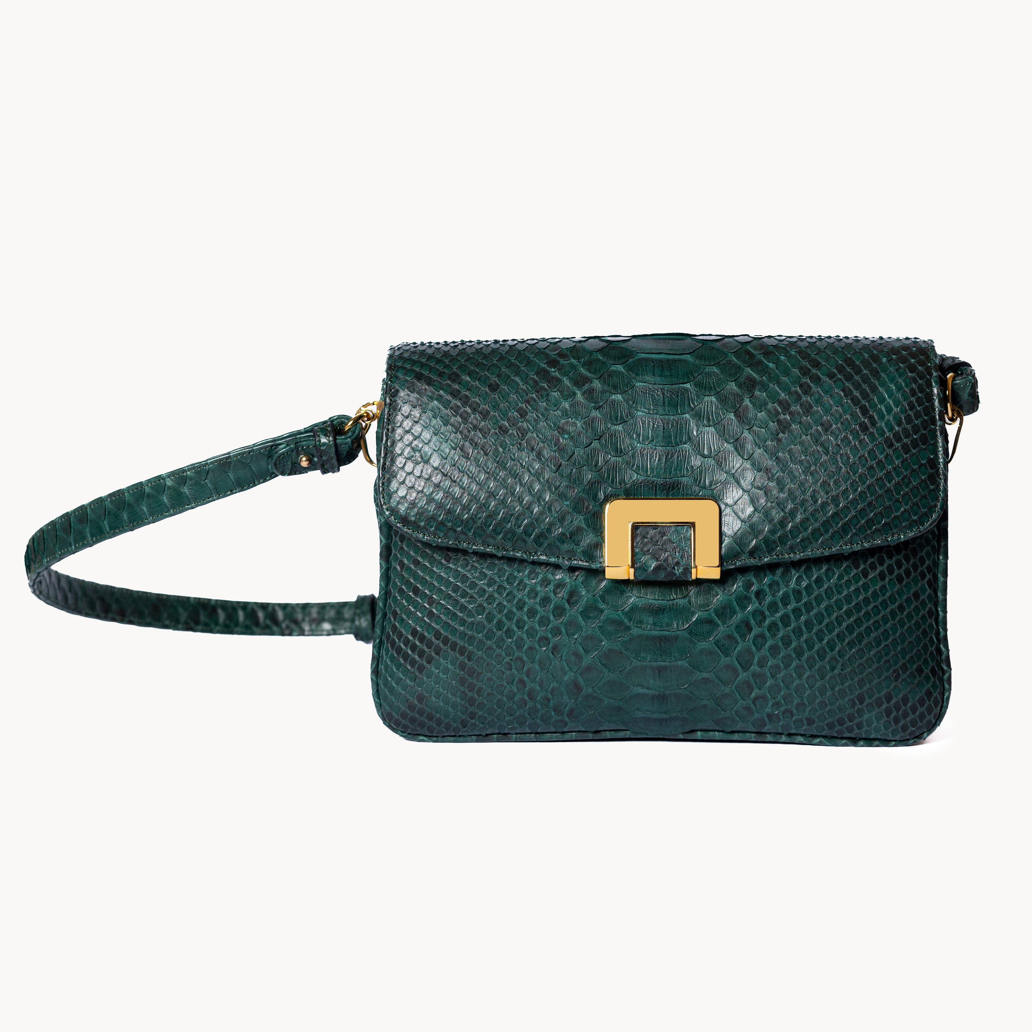 The Classic Forest Green