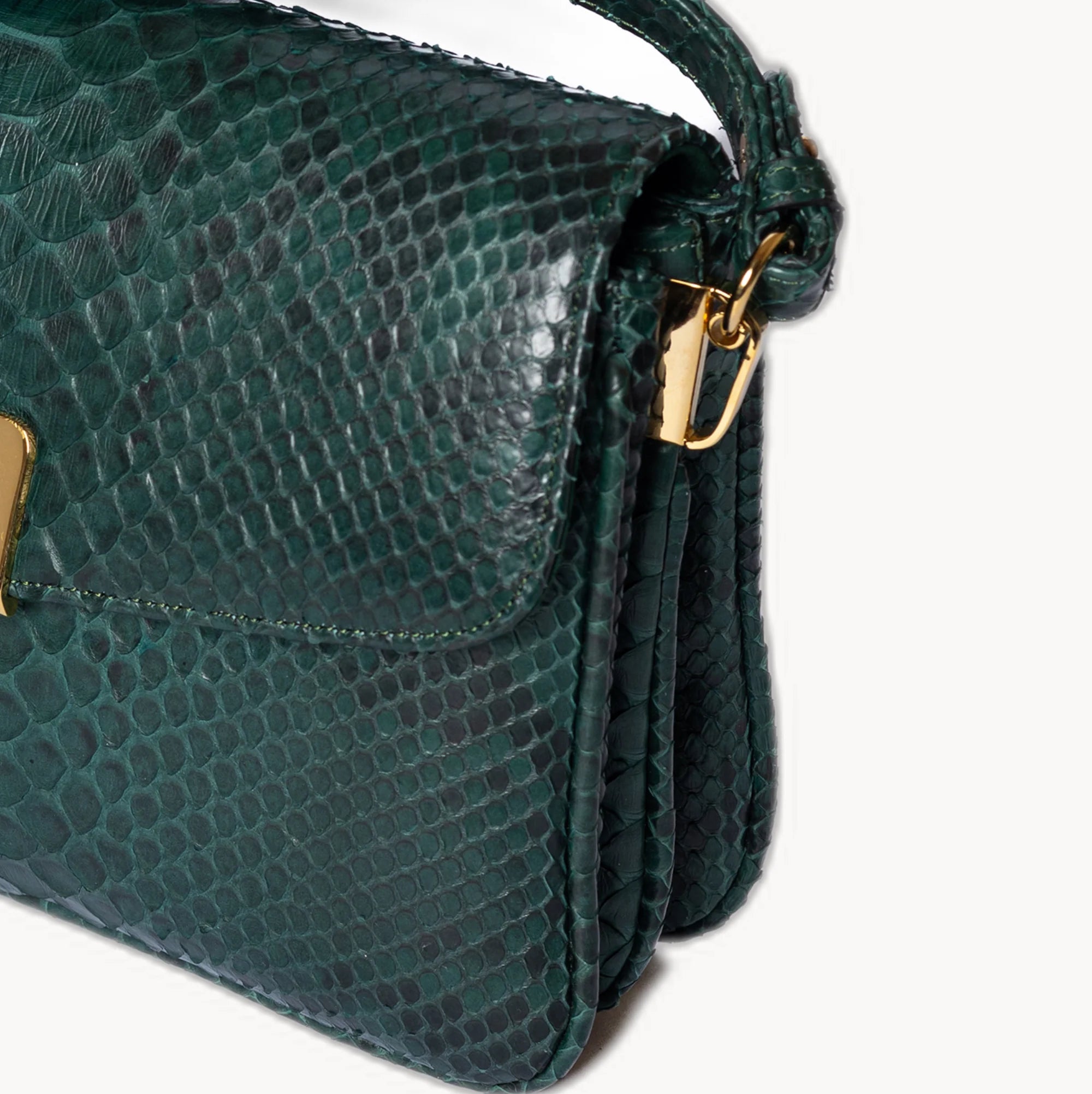 The Classic Forest Green