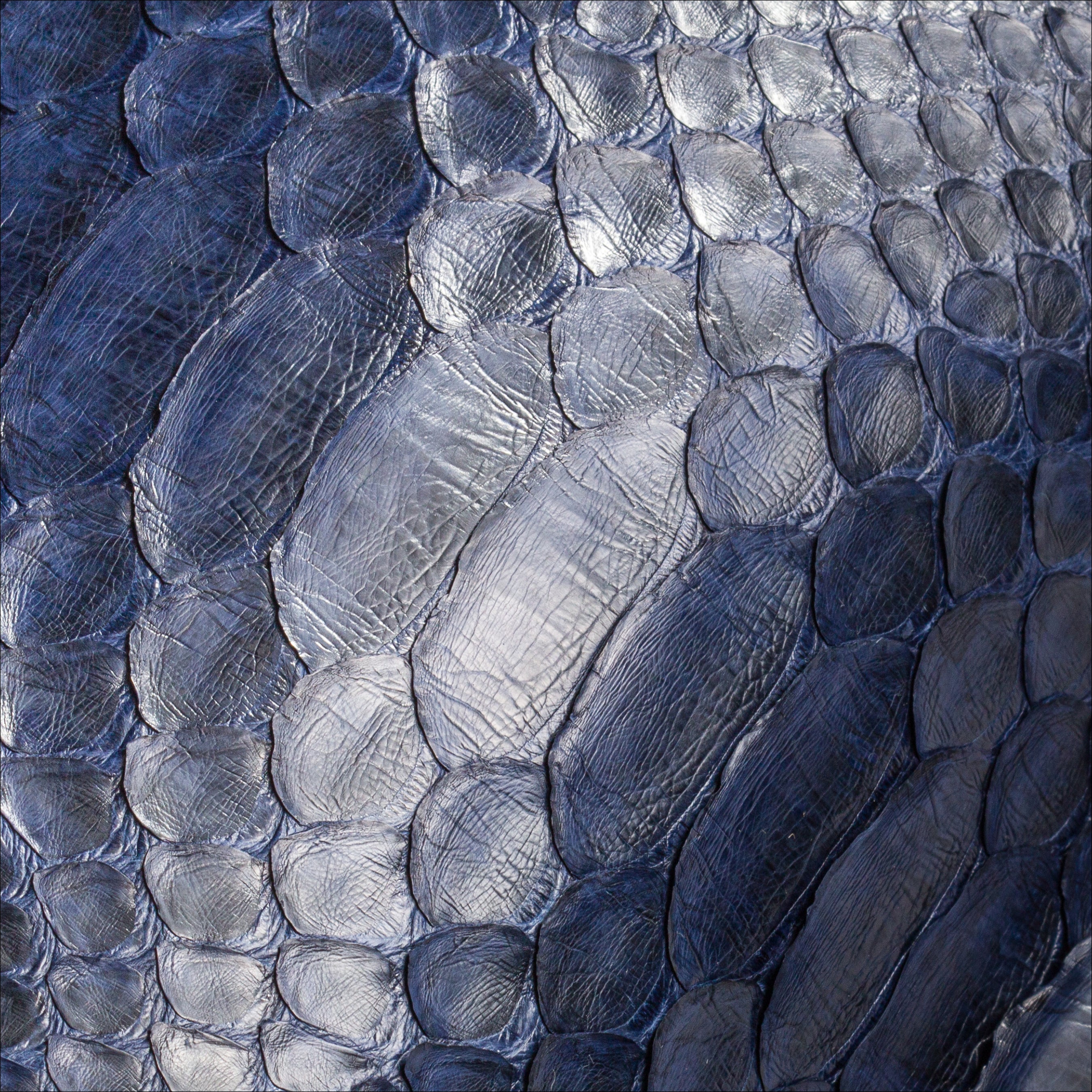 The Purse Midnight Navy Blue