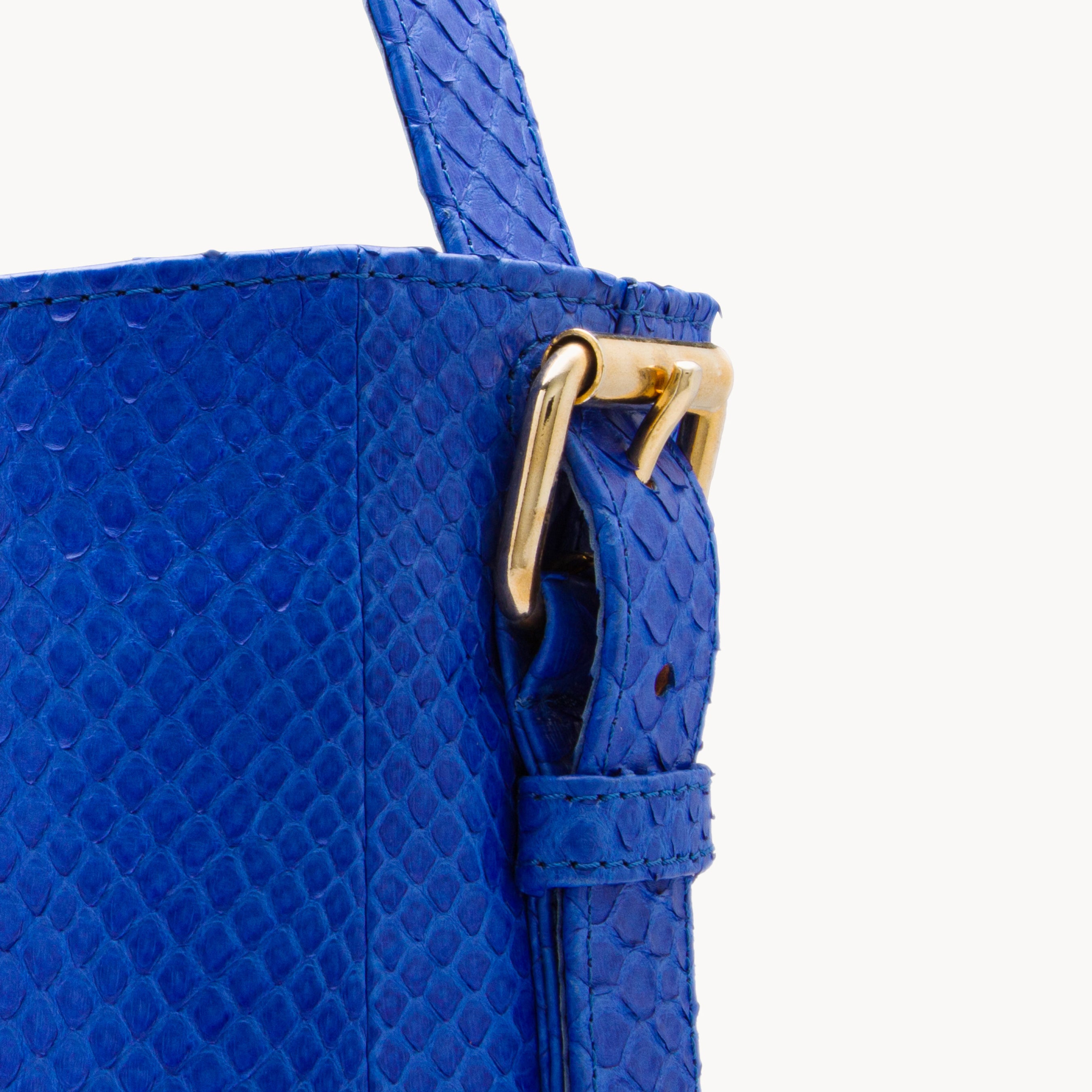 The Stealthy Electric Blue