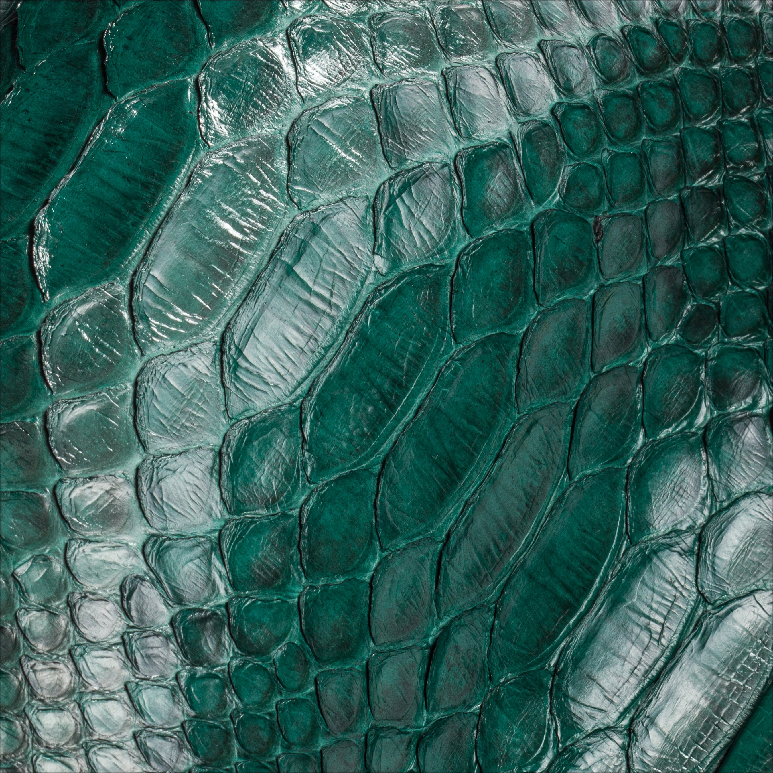 The Purse Forest Green