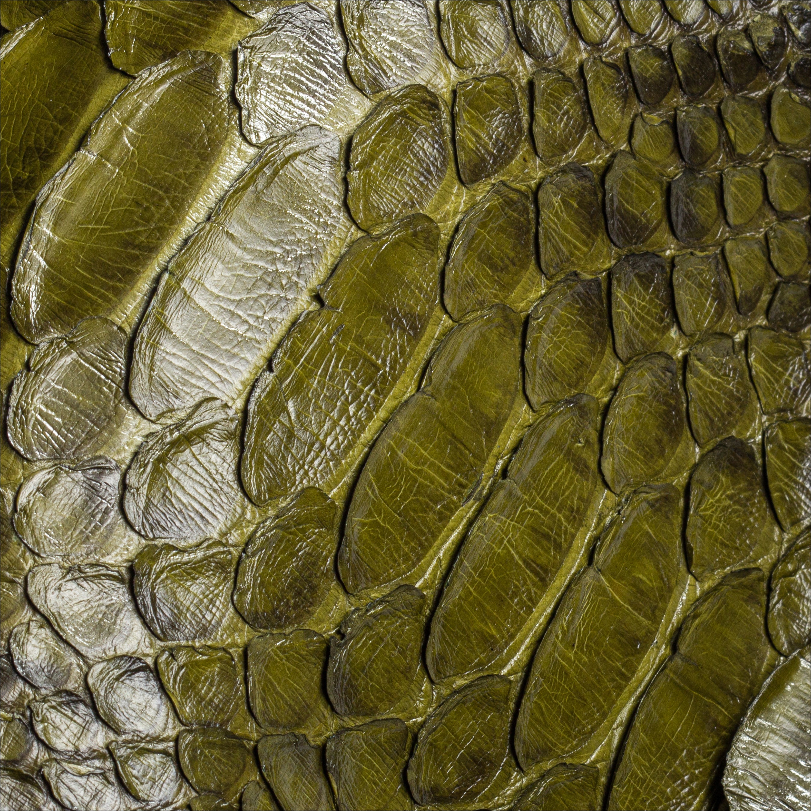 The Purse Army Green