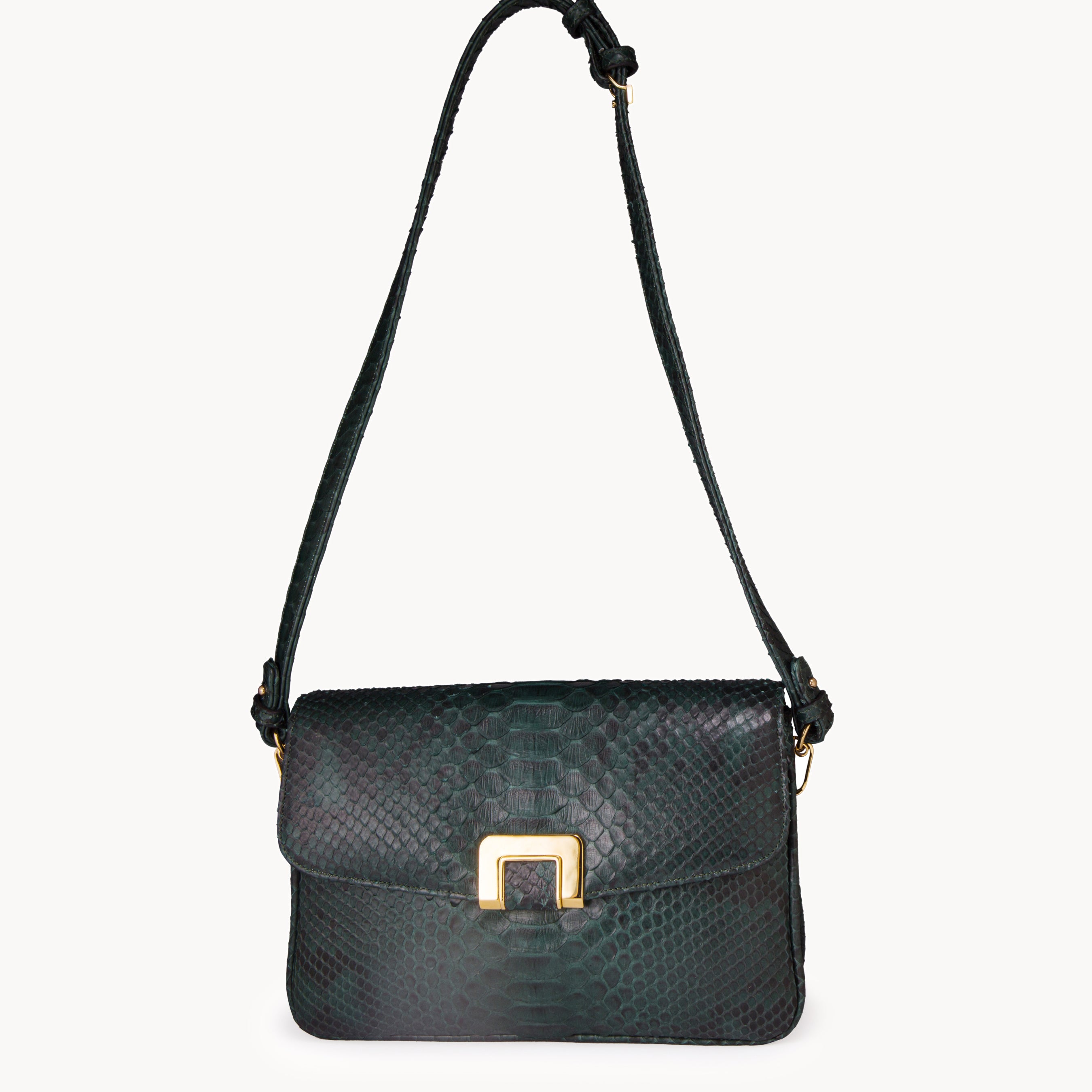 The Classic Forest Green