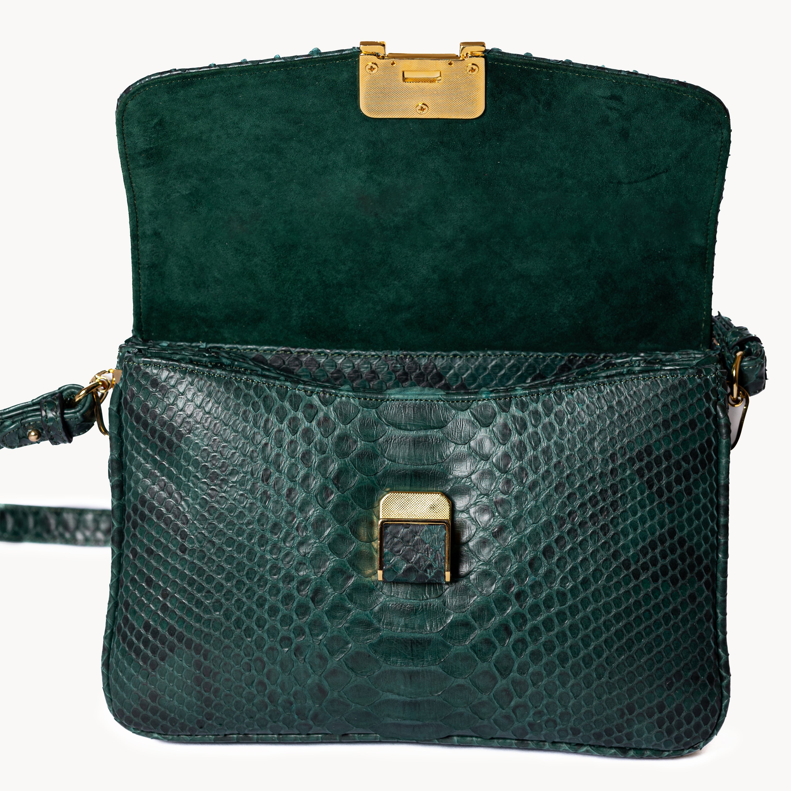 The Classic Forest Green